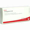 Bindegewebe Gl D4 Ampullen 10 x 1 ml - ab 31,30 €