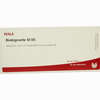 Bindegewebe Gl D5 Ampullen 10 x 1 ml - ab 19,41 €