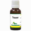 Bio- Bachblüten Trauer Vet. Fluid 20 ml - ab 9,59 €