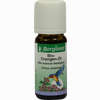 Bio Orangen- Öl Aetherisches Öl 10 ml - ab 3,81 €