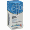 Abbildung von Biochemie 1 Calcium Fluoratum D12 Tabletten DHU-Arzneimittel GmbH & Co. KG 80 Stück