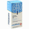 Biochemie 1 Calcium Fluoratum D6 Tabletten Dhu-arzneimittel gmbh & co. kg 80 Stück