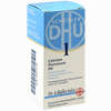 Biochemie 1 Calcium Fluoratum D6 Tabletten DHU-Arzneimittel GmbH & Co. KG 80 Stück - ab 0,00 €