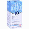 Biochemie 10 Natrium Sulfuricum D6 Tabletten Dhu-arzneimittel gmbh & co. kg 80 Stück - ab 3,30 €