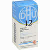 Biochemie 12 Calcium Sulfuricum D12 Tabletten Dhu-arzneimittel gmbh & co. kg 80 Stück - ab 3,46 €