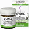 Biochemie 17 Manganum Sulfuricum D6 Tabletten 80 Stück - ab 2,59 €