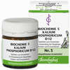 Biochemie 5 Kalium Phosphoricum D12 Tabletten Bombastus-werke ag 80 Stück - ab 2,71 €