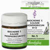 Biochemie 5 Kalium Phosphoricum D12 Tabletten Bombastus-Werke AG 80 Stück - ab 3,01 €