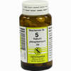 Biochemie 5 Kalium Phosphoricum D6 Tabletten 100 Stück - ab 3,06 €