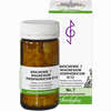 Biochemie 7 Magnesium Phosphoricum D12 Tabletten Bombastus-Werke AG 200 Stück - ab 5,60 €