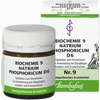 Abbildung von Biochemie 9 Natrium Phosphoricum D6 Tabletten 80 Stück