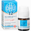 Biochemie Dhu 12 Calcium Sulfuricum D6 Globuli 10 g - ab 6,52 €