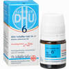Biochemie Dhu 6 Kalium Sulfuricum D6 Globuli 10 g - ab 6,52 €