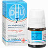 Biochemie Dhu 7 Magnesium Phosphoricum D12 Globuli 10 g - ab 6,93 €