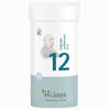 Biochemie Pflüger Nr. 12 Calcium Sulfuricum D6 Tabletten 400 Stück - ab 9,99 €