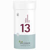 Biochemie Pflüger Nr. 13 Kalium Arsenicosum D6 Tabletten 400 Stück - ab 9,81 €