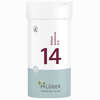 Biochemie Pflüger Nr. 14 Kalium Bromatum D6 Tabletten 400 Stück - ab 9,85 €