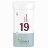 Biochemie Pflüger Nr. 19 Cuprum Arsenicosum D6 Tabletten 400 Stück - ab 9,95 €