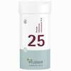 Biochemie Pflüger Nr. 25 Aurum Chloratum Natron. D6 Tabletten 400 Stück - ab 9,72 €