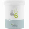 Biochemie Pflüger Nr. 6 Kalium Sulfuricum D6 Pulver 250 g - ab 20,42 €