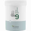 Biochemie Pflüger Nr. 9 Natrium Phosphoricum D6 Pulver 250 g - ab 19,79 €