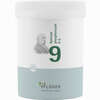 Biochemie Pflüger Nr. 9 Natrium Phosphoricum D6 Pulver 250 g - ab 20,42 €