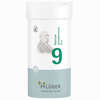 Biochemie Pflüger Nr. 9 Natrium Phosphoricum D6 Tabletten 400 Stück - ab 9,70 €
