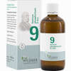 Biochemie Pflüger Nr. 9 Natrium Phosphoricum D6 Tropfen 100 ml - ab 17,52 €