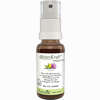 Bitterkraft Original Spray Sprühflasche 20 ml - ab 10,65 €