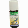 Blutorange Öl 10 ml - ab 2,88 €