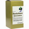 Bockshornkleesamen 120 Stück - ab 24,51 €