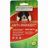 Bogacare Anti- Parasit Spot On Hund Gross Fluid 4 x 2.5 ml - ab 0,00 €