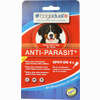Bogadual Anti- Parasit Spot- On Hund Gross Tub 4 x 2.5 ml - ab 0,00 €