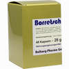 Borretsch Bioxera 500 Kapseln 40 Stück - ab 0,00 €