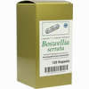 Boswellia Serrata L. Ind. Weihrauch 120 Stück - ab 24,51 €