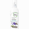 Botanical Styling Mousse- Extra Strong Schaum 200 ml - ab 7,62 €