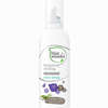 Botanical Styling Mousse- Extra Strong Schaum 200 ml - ab 8,40 €