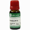 Bryonia Arca Lm 6 10 ml - ab 9,64 €