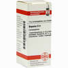 Bryonia D4 Globuli Dhu-arzneimittel 10 g - ab 5,54 €