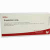 Bryophyllum Comp Ampullen 10 x 1 ml - ab 19,38 €