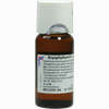 Bryophyllum D 1 Dilution 50 ml - ab 0,00 €