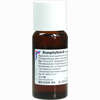 Bryophyllum Urtinktur Dilution 50 ml - ab 31,58 €