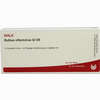 Bulbus Olfactorius Gl D5 Ampullen 10 x 1 ml - ab 20,70 €