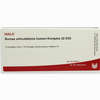 Bursae Arti Hum- Kom Gl D30 Ampullen 10 x 1 ml - ab 19,41 €