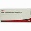 Bursae Arti Hum- Kom Gl D5 Ampullen 10 x 1 ml - ab 19,41 €
