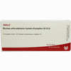 Bursae Articulationis Hum.- Komp. Gl D12 Ampullen 10 x 1 ml - ab 0,00 €