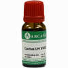 Cactus Arca Lm 18 10 ml - ab 10,28 €