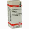 Cactus C6 Globuli 10 g - ab 8,07 €