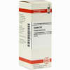 Cactus D2 Dilution 20 ml - ab 8,69 €