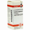 Caladium Seguin C30 Globuli 10 g - ab 7,84 €